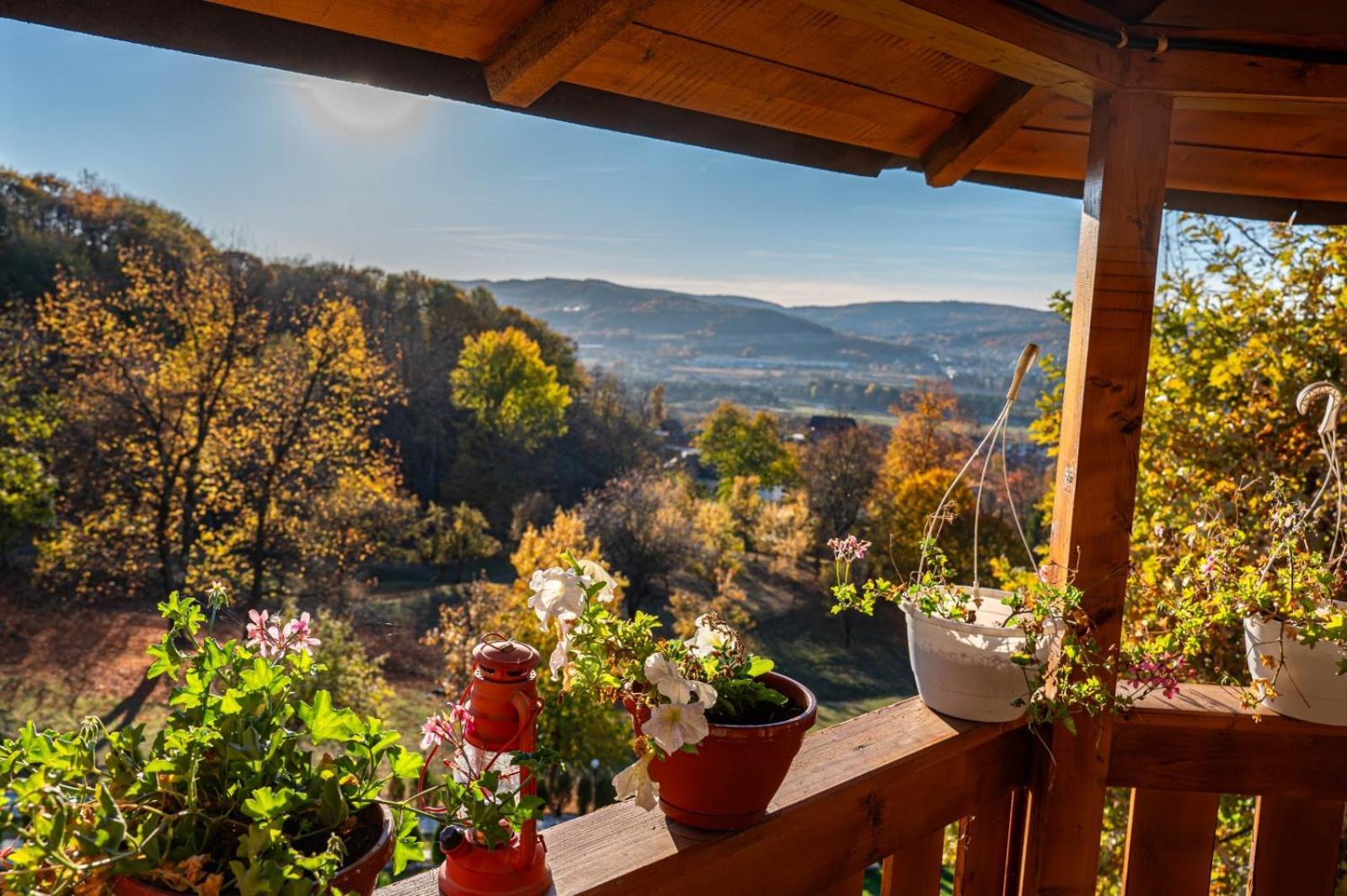 Ferienwohnung La Maria Si Ioana Curtea de Argeş Exterior foto