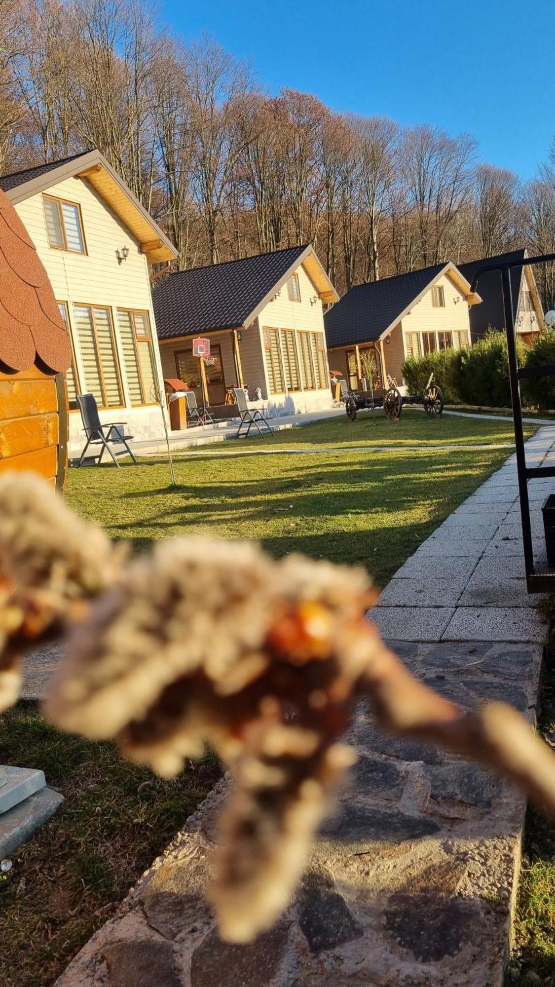 Ferienwohnung La Maria Si Ioana Curtea de Argeş Exterior foto